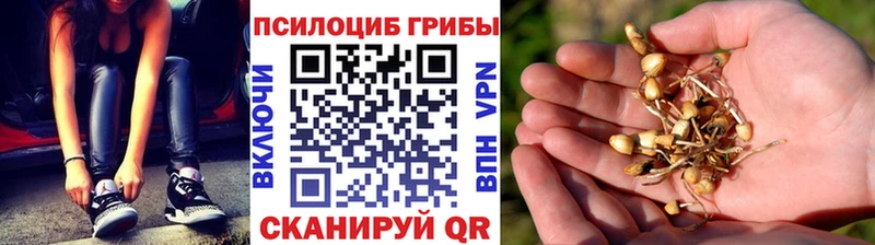 OMG как войти  Борисоглебск  Галлюциногенные грибы мухоморы 