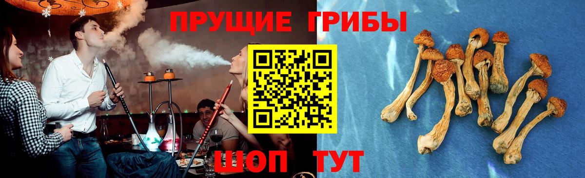 Псилоцибиновые грибы ЛСД Борисоглебск
