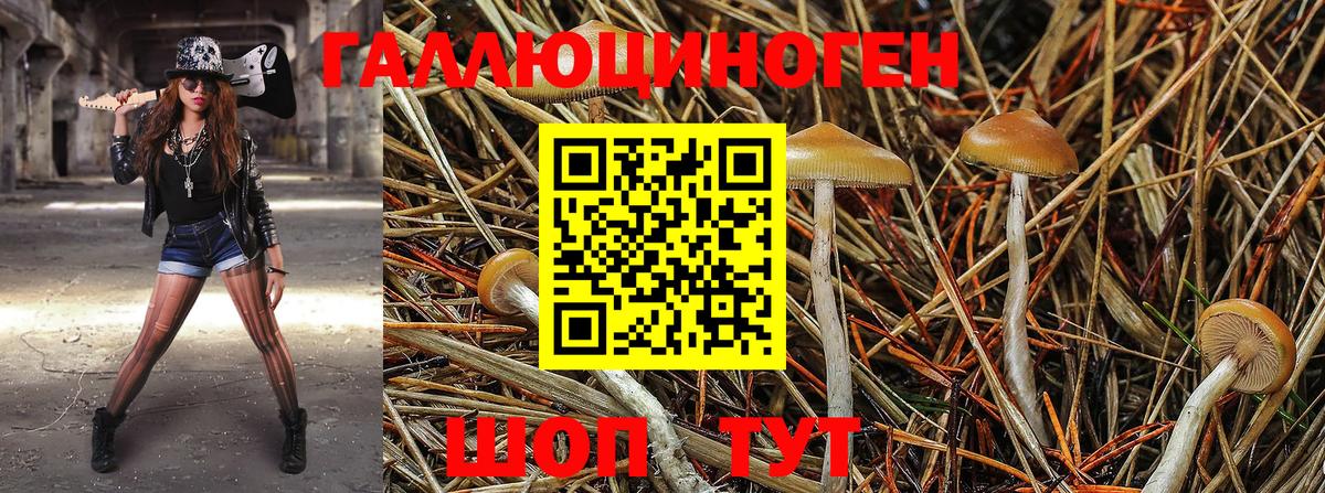 Борисоглебск  Галлюциногенные грибы мухоморы  Вход с VPN 